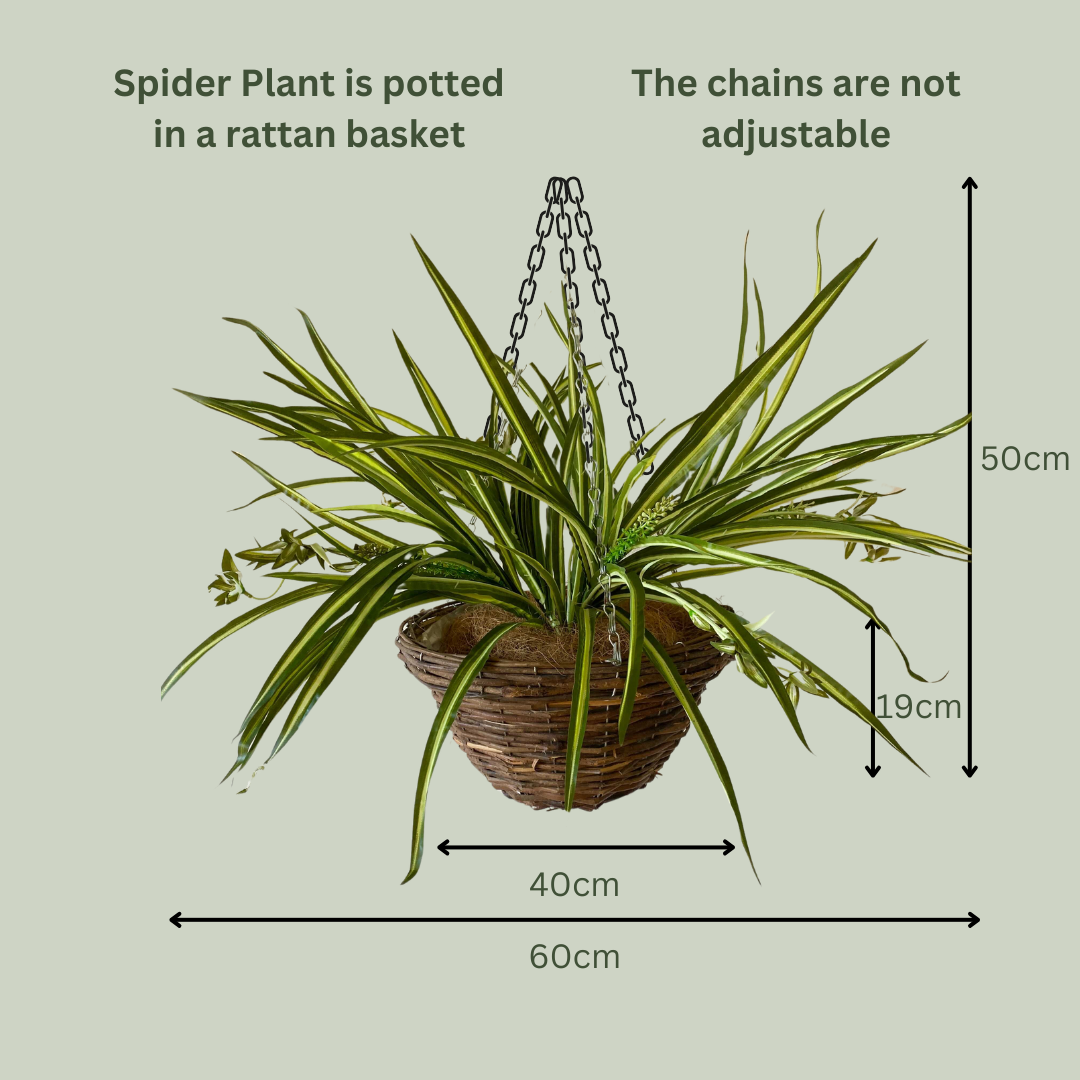 Artificial Pre Made Hanging Basket | Woven Basket with Spider Plant