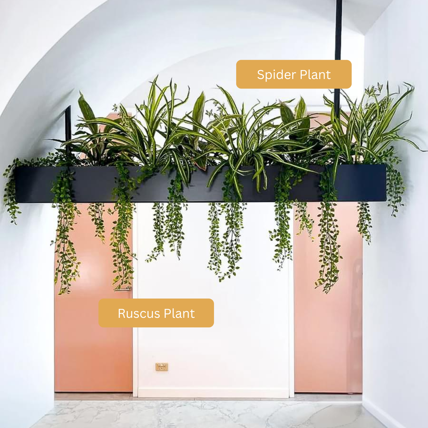 artificial spider plant Artificial Spider Plant