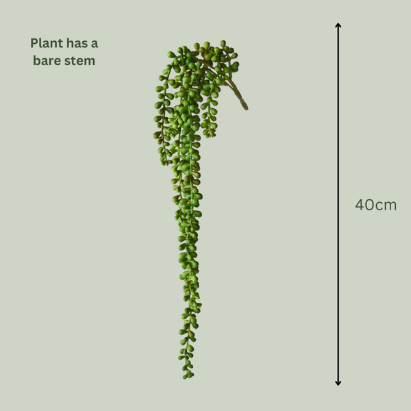 Artificial String of Pearls Plant