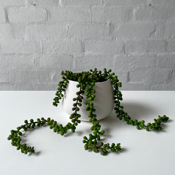 Artificial String of Pearls Plant