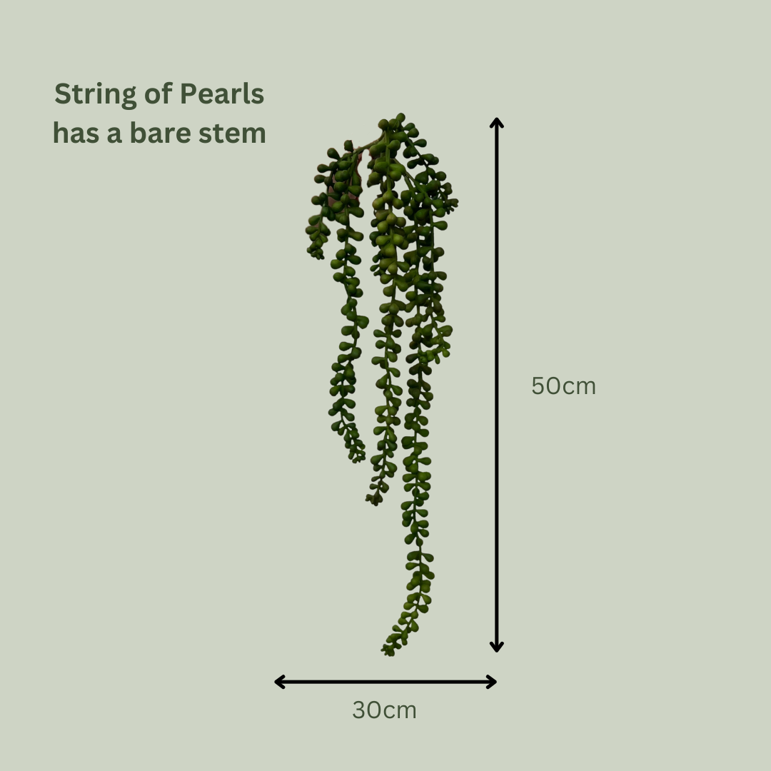 Artificial String of Pearls
