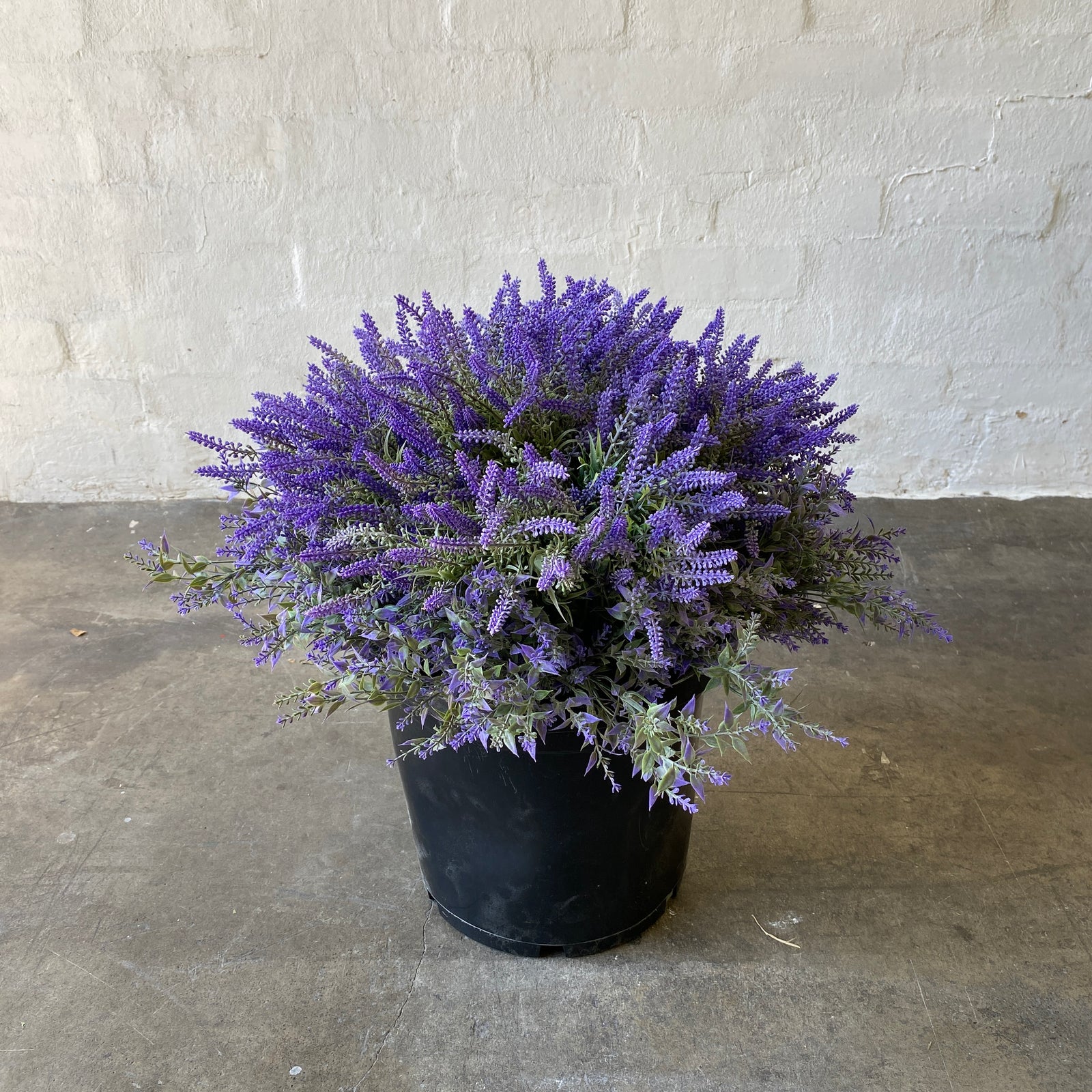 Artificial Lavender Pots