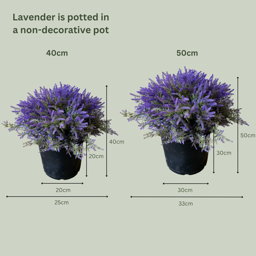 Artificial Lavender Pots