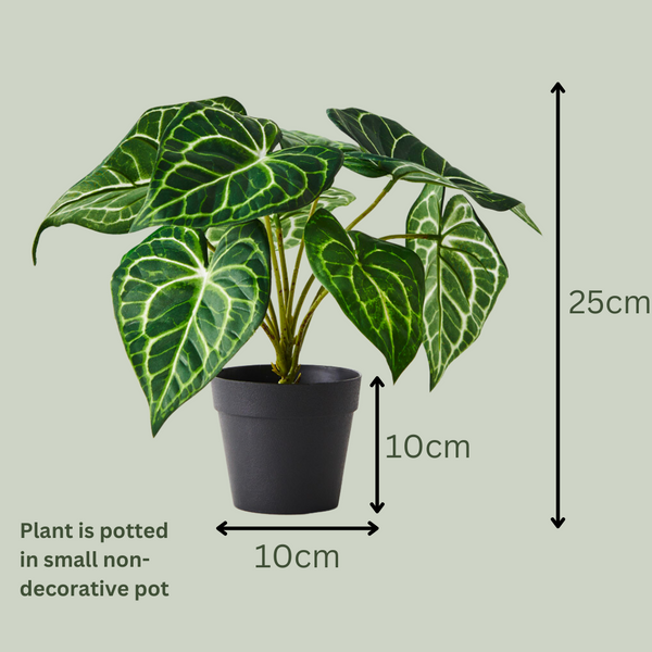 Artificial Syngonium Plant