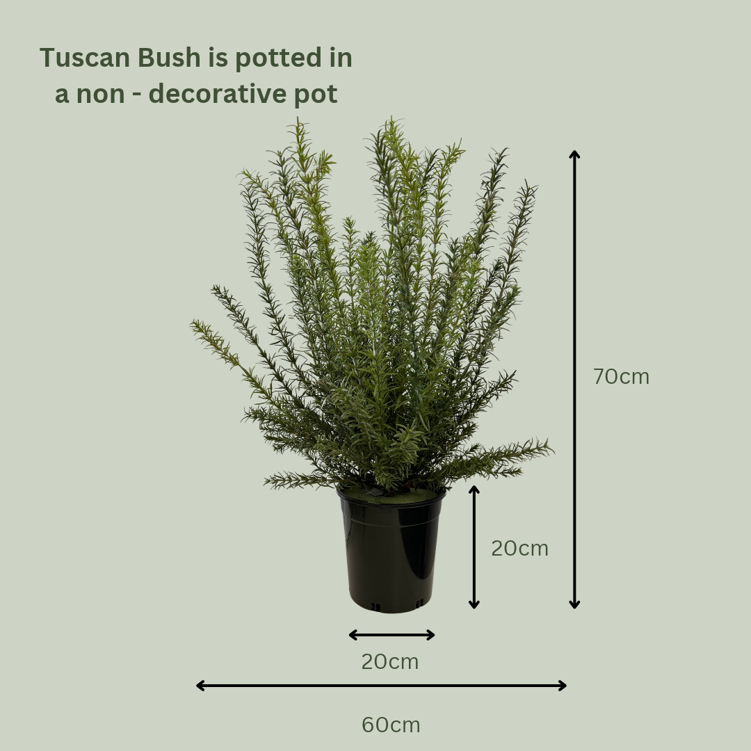 Artificial Tuscan Bush