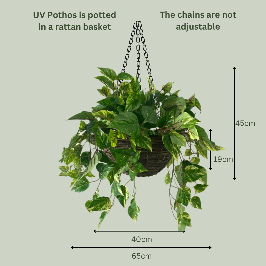 Artificial Pre Made Hanging Basket | Woven Basket with UV Protected Pothos Plant