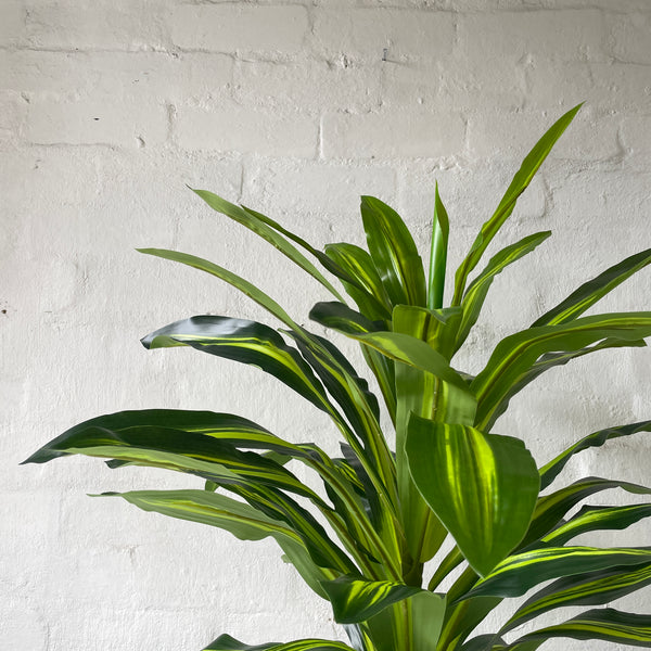 Artificial Variegated Dracaena