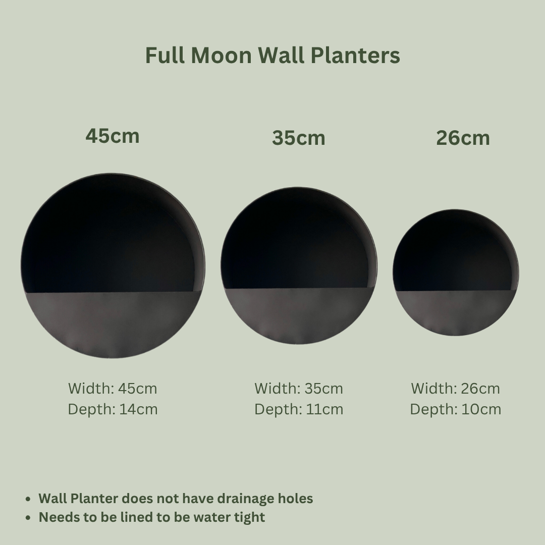 Full Moon Wall Planters | Black Metal
