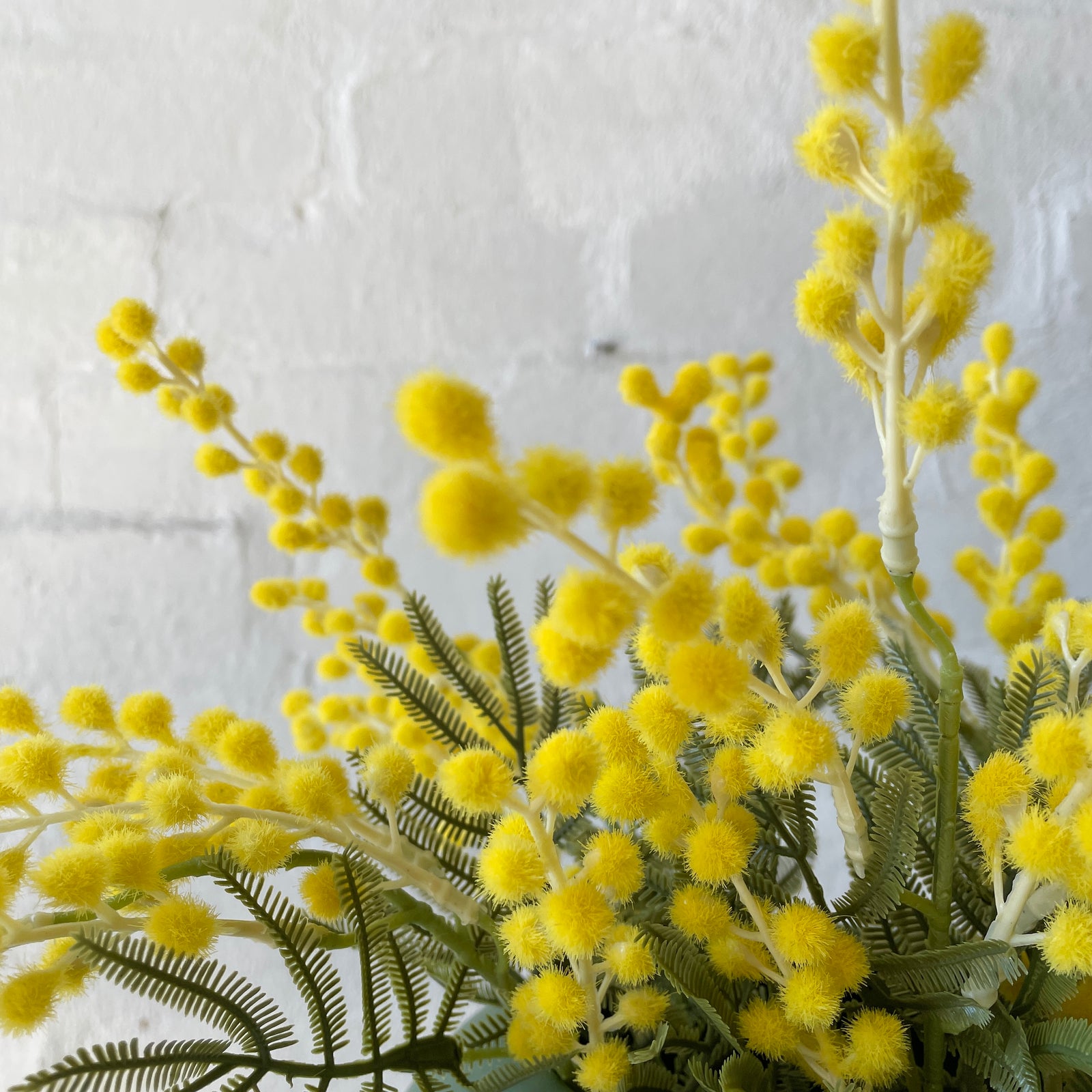 Artificial Wattle Stems | 5 Stems