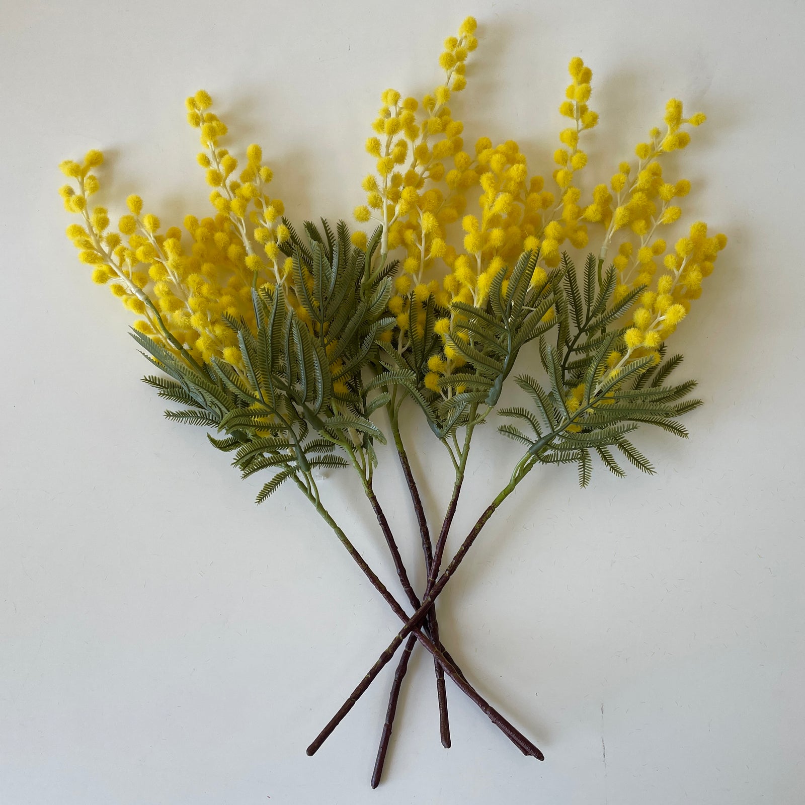 Artificial Wattle Stems | 5 Stems