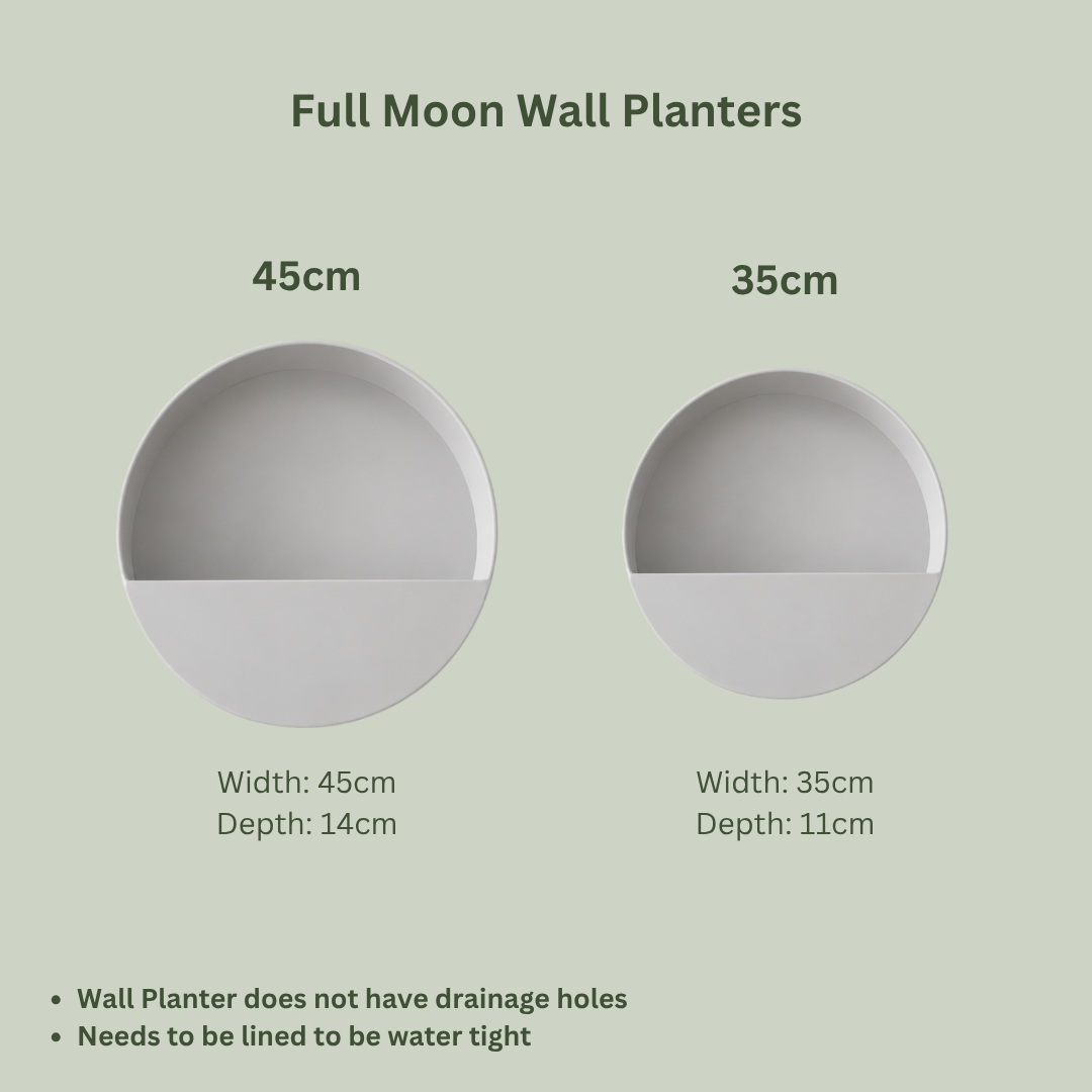 Full Moon Wall Planters | White Metal