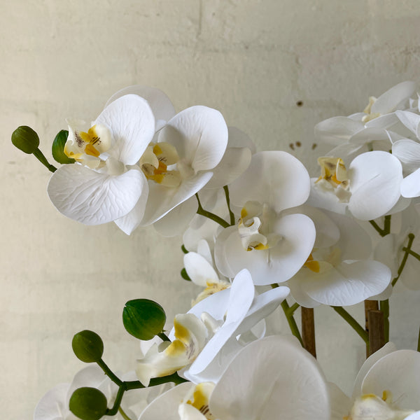 Artificial White Orchid | Ceramic