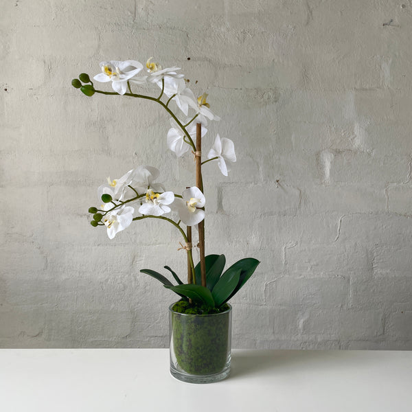 Artificial White Orchid | Glass