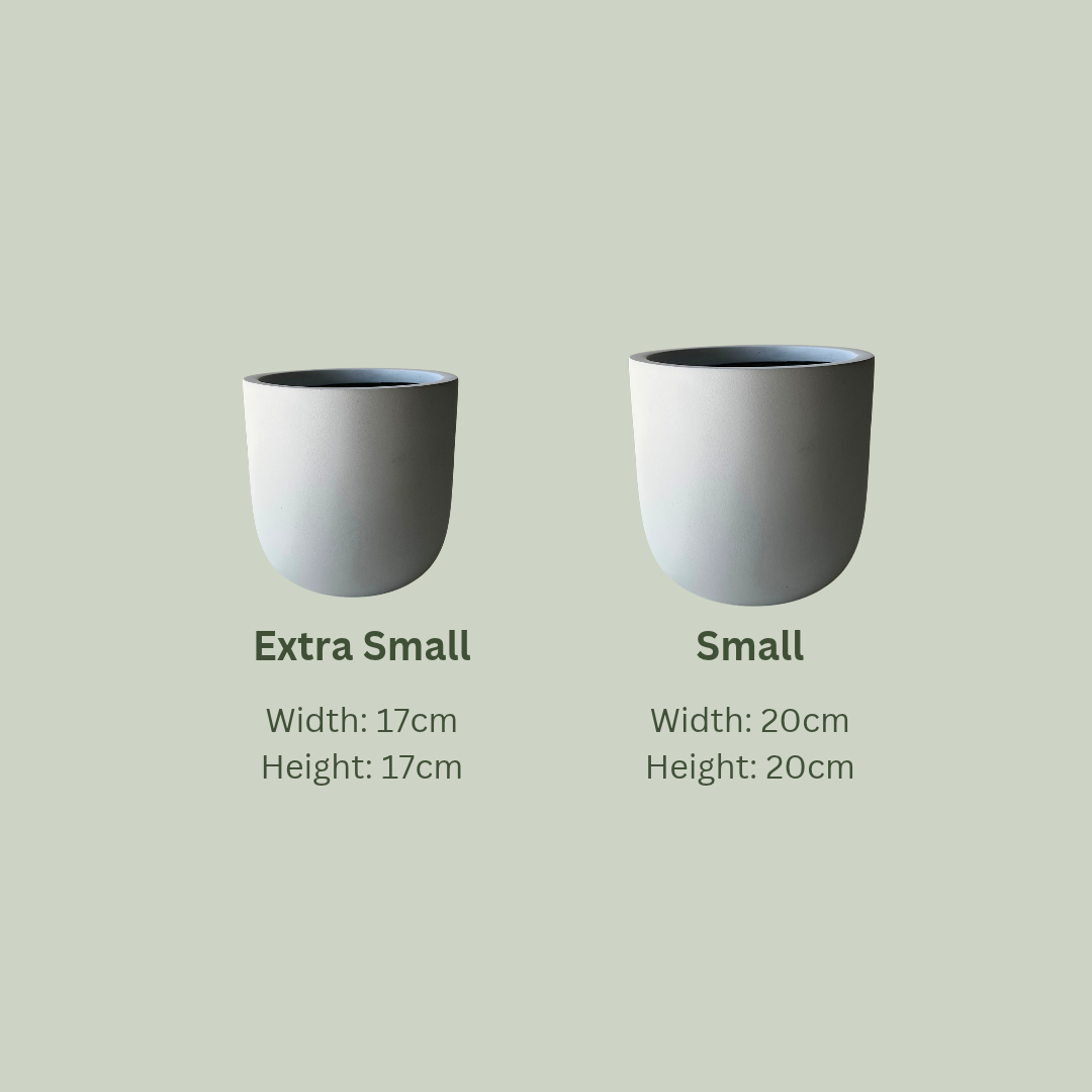 Lightweight Theo Pot | White