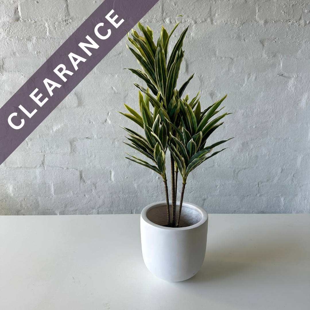 Artificial Yellow Dracaena