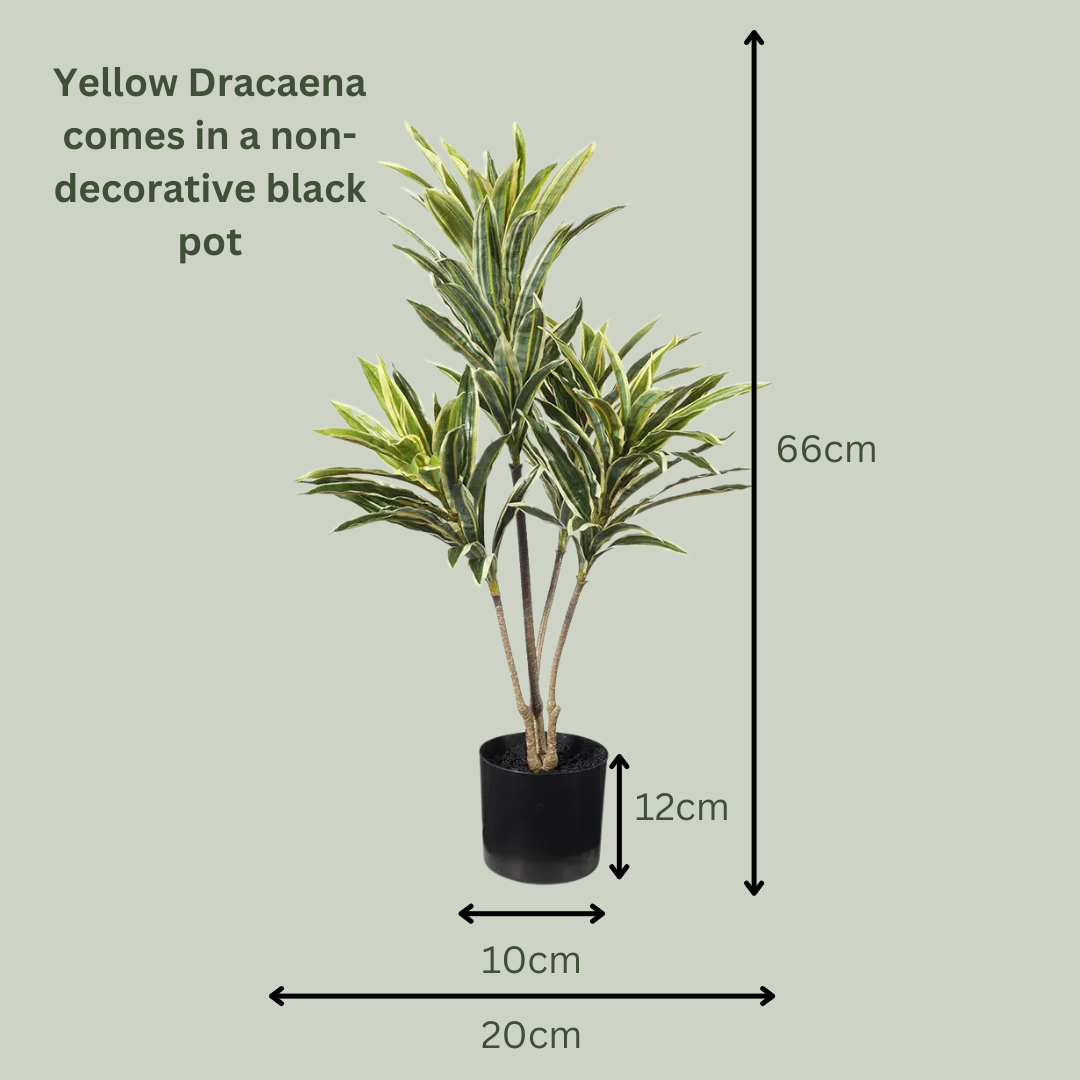 Artificial Yellow Dracaena