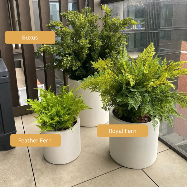 Artificial Royal Fern | Outdoor Plant