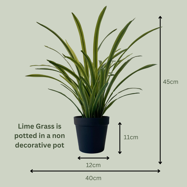 Artificial Lime Grass