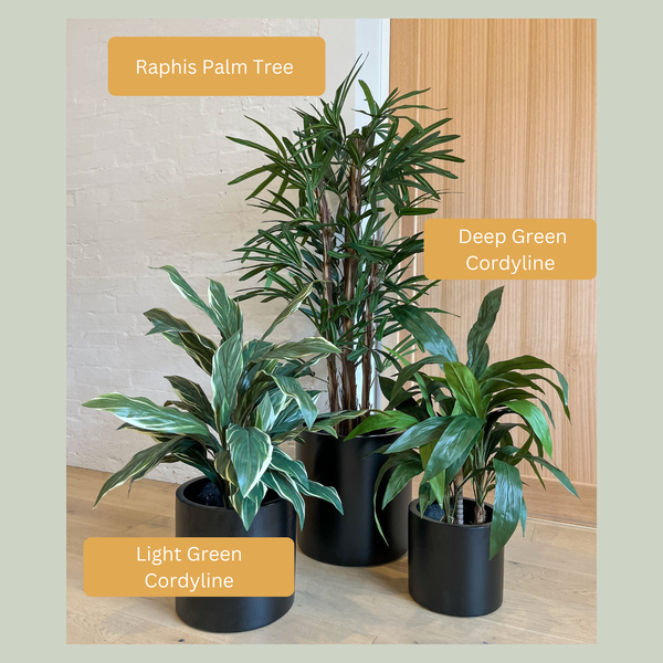 Artificial Raphis Palm Tree