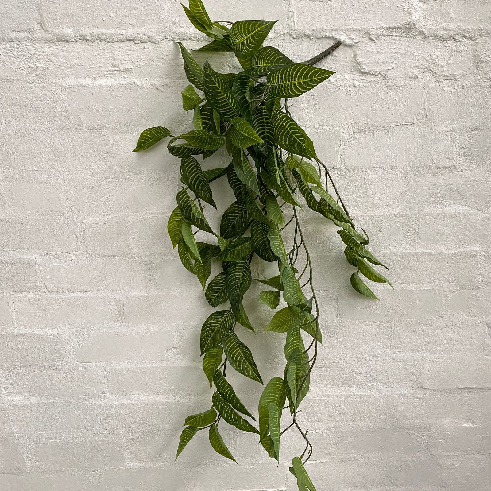 zebra hanging plant Artificial Zebra Hanging Plant
