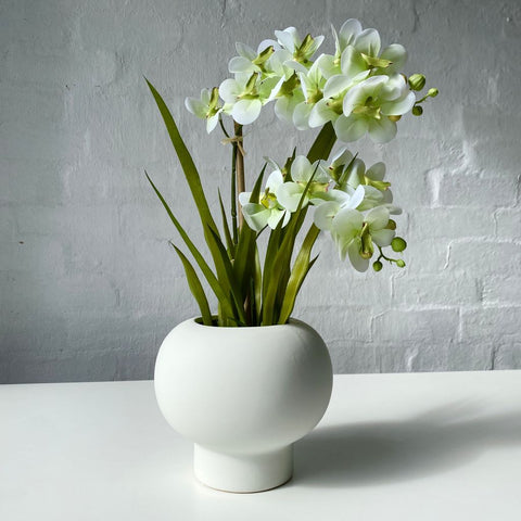 Artificial White Orchid | Green Tinge