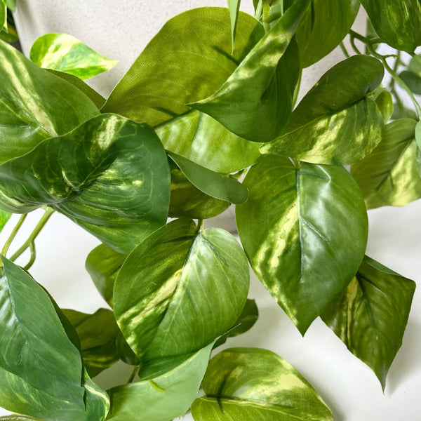 Artificial Pothos Bush | Extra Large