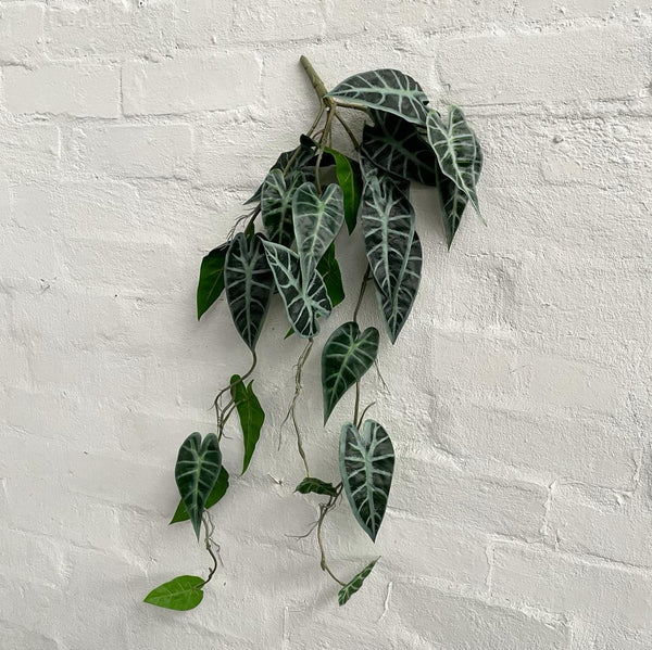 Artificial Alocasia Bambino Hanging Plant