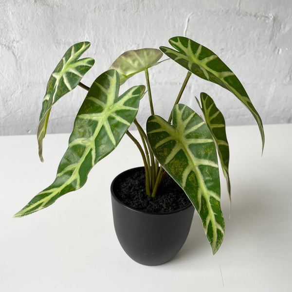 Artificial Alocasia Plant