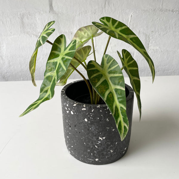 Artificial Alocasia Plant