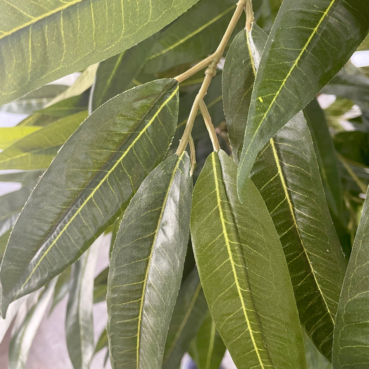 Artificial Ashoka Tree