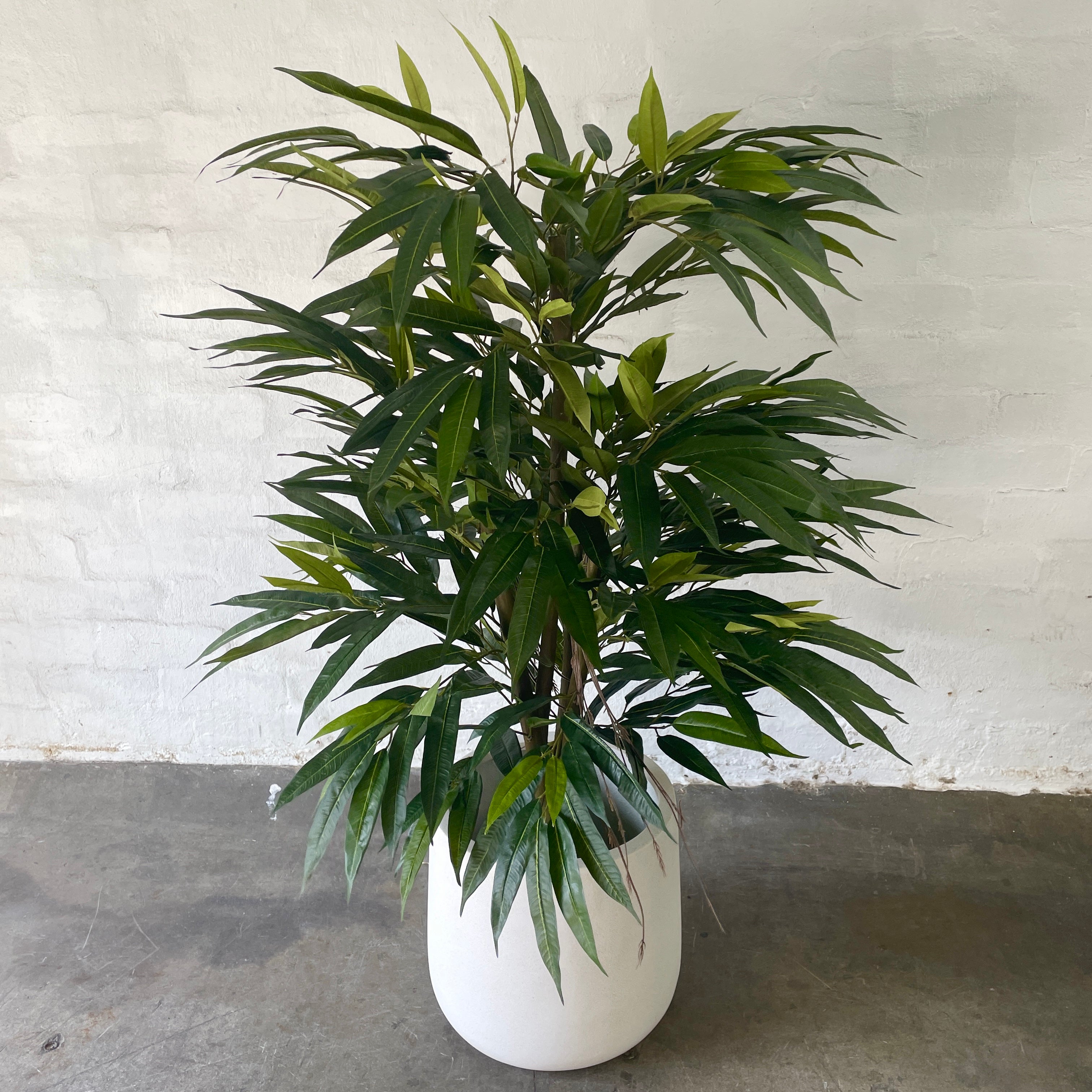 ashoka plant in pot Artificial Ashoka Tree