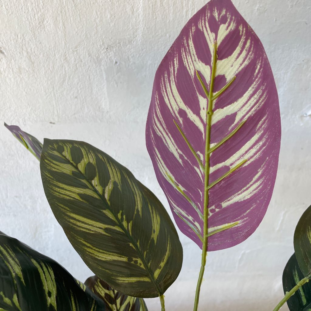 Artificial Calathea | Small