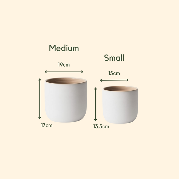 Cleo Pot | Medium