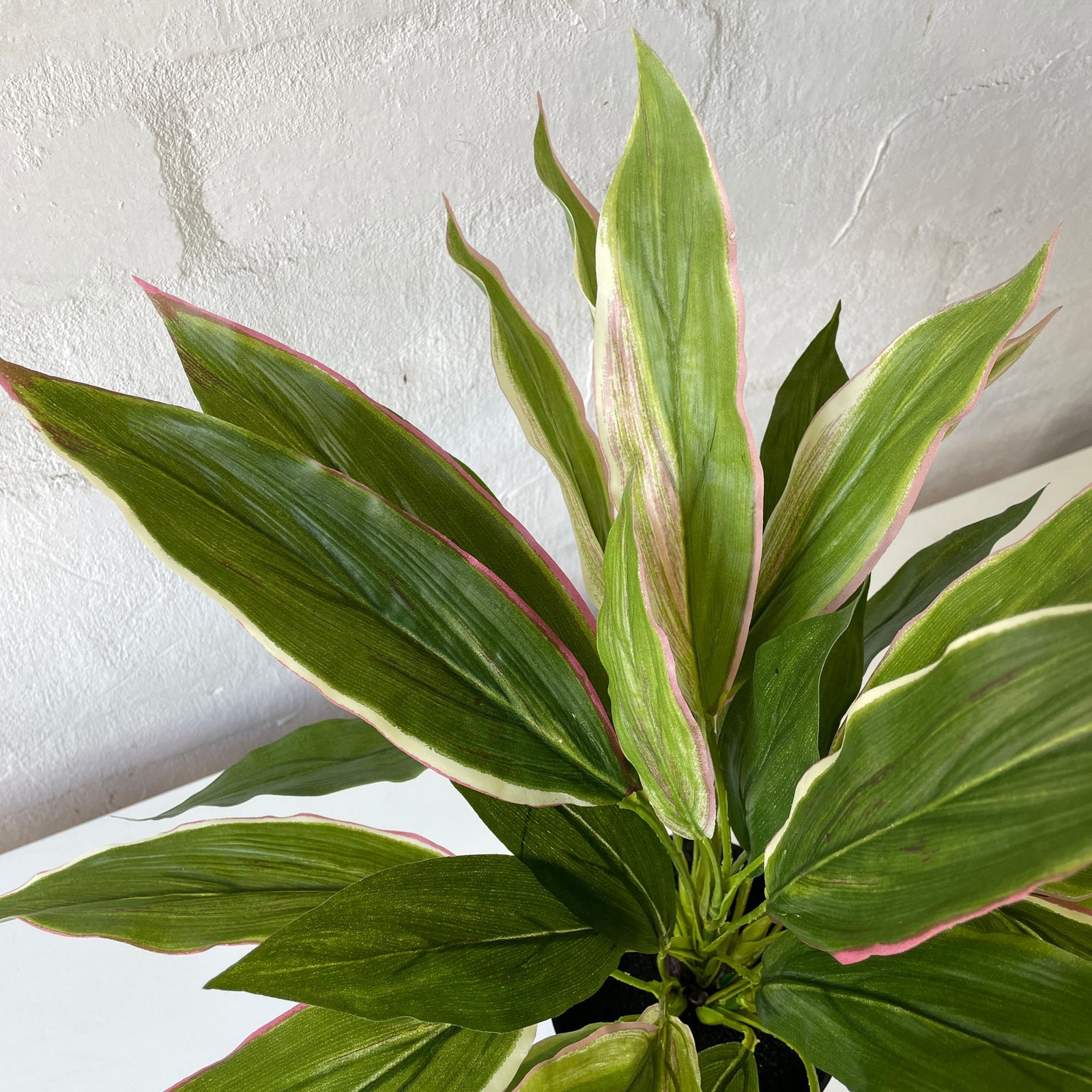 Artificial Cordyline Plant | Light Pink | Small