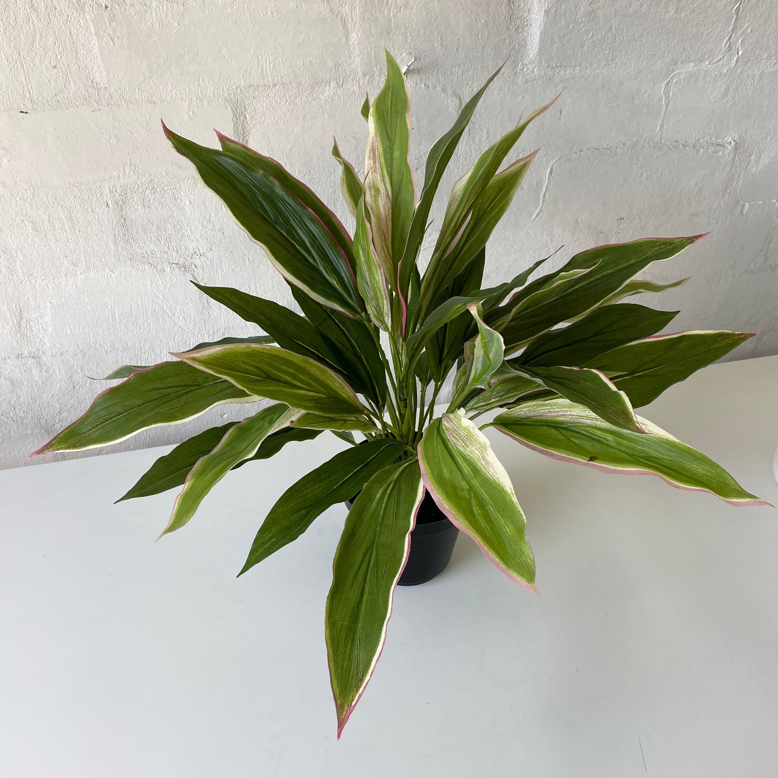 Artificial Cordyline Plant | Light Pink | Small