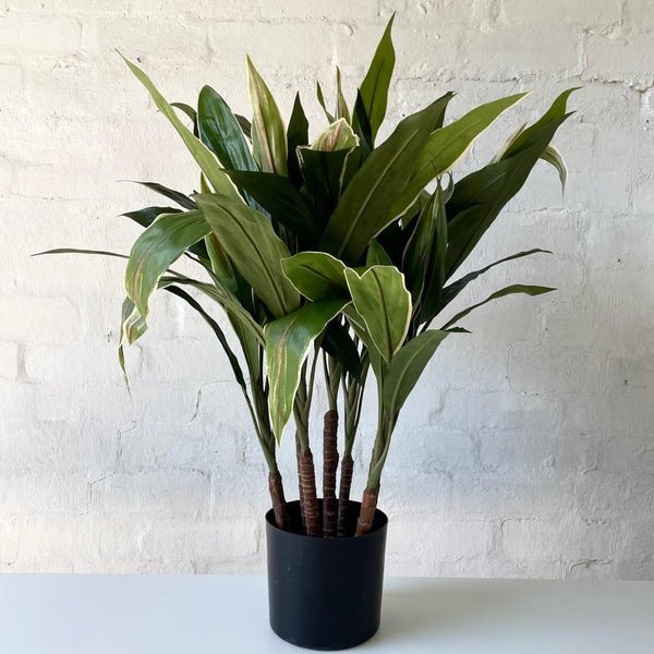 Artificial Cordyline Plant | Dark Green