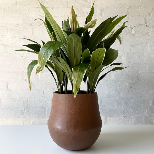 Artificial Cordyline Plant | Dark Green