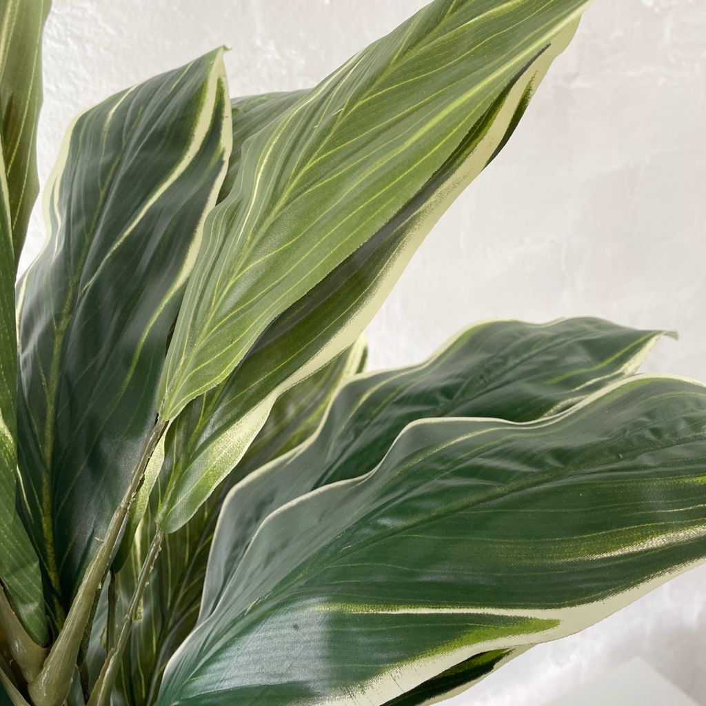 Artificial Cordyline Plant | Light Green