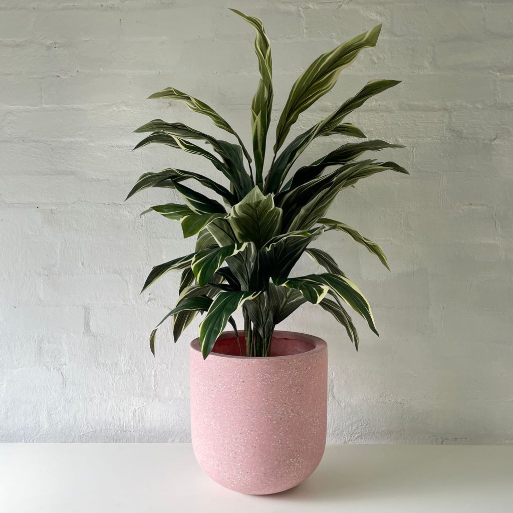 Artificial Cordyline Plant | Light Green