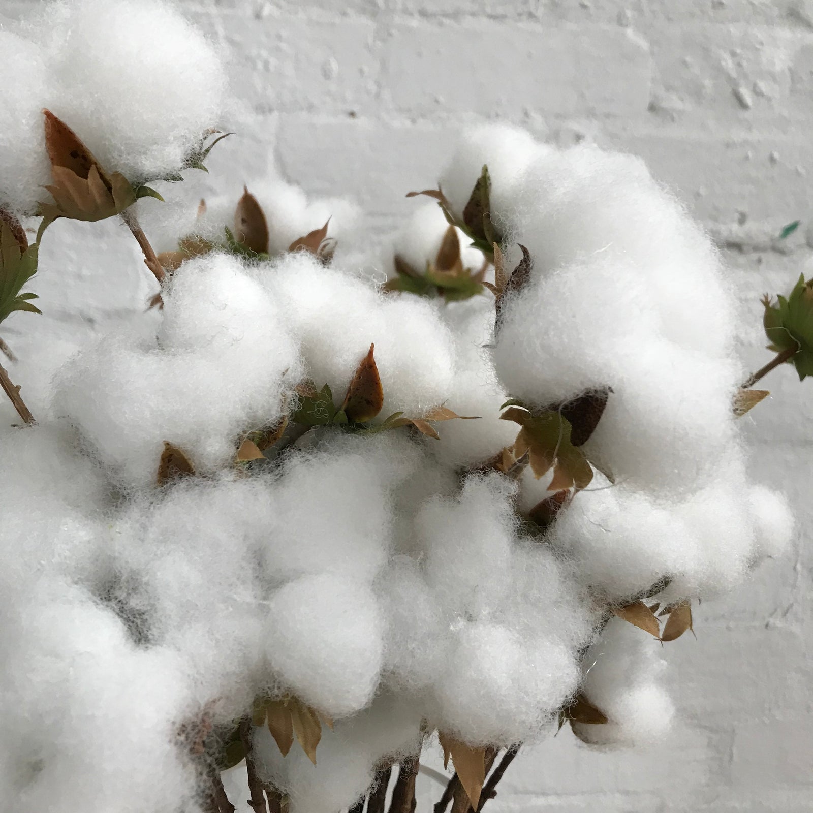 Artificial Cotton Ball Spray | 3 Stems
