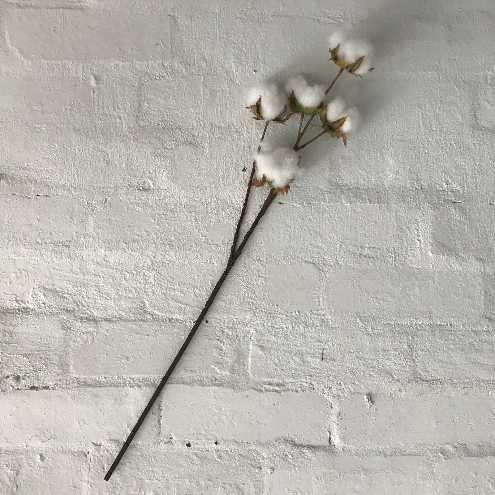 Artificial Cotton Ball Spray | 3 Stems
