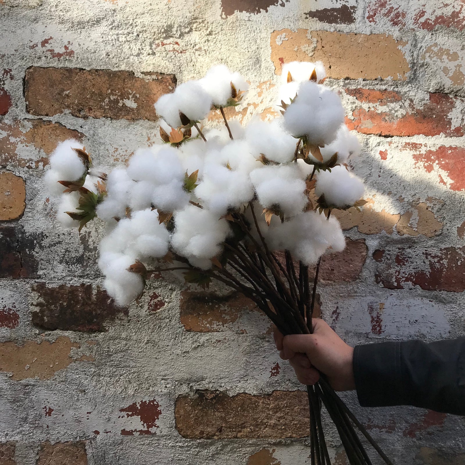 Artificial Cotton Ball Spray | 3 Stems