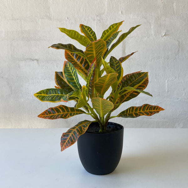 Artificial Croton Plant | Small