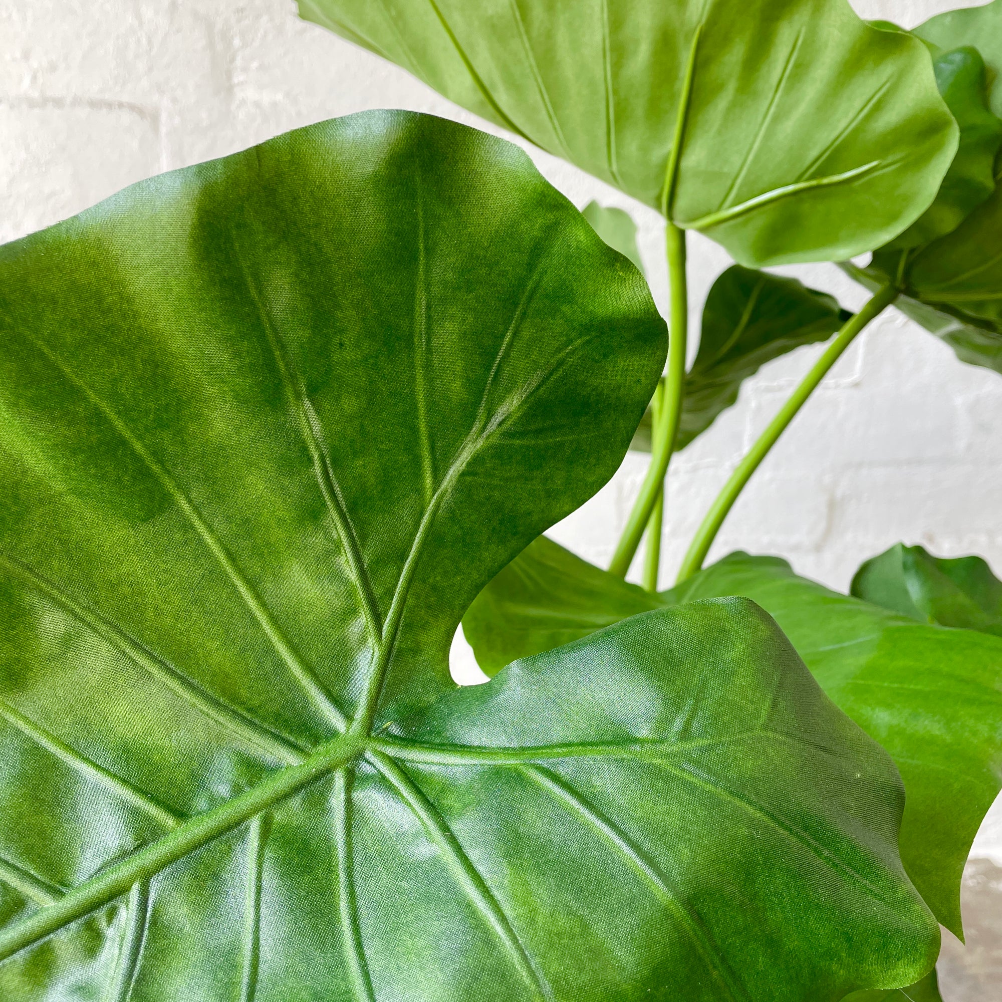 elephant ear faux plant Artificial Elephant Ear Plant