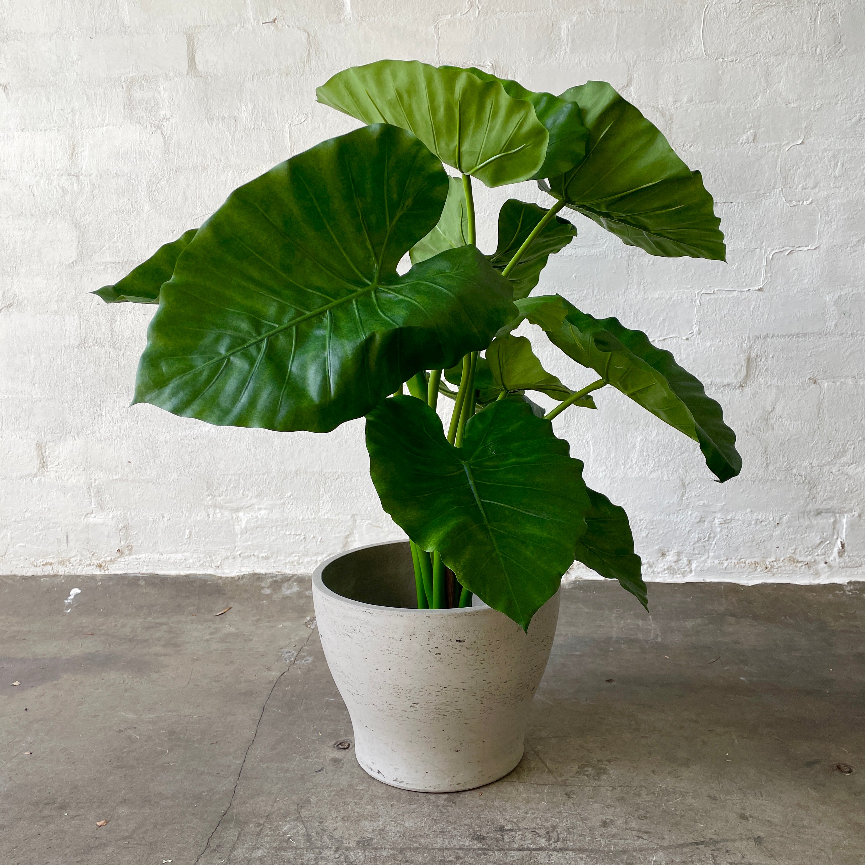 large faux elephant ear plant Artificial Elephant Ear Plant