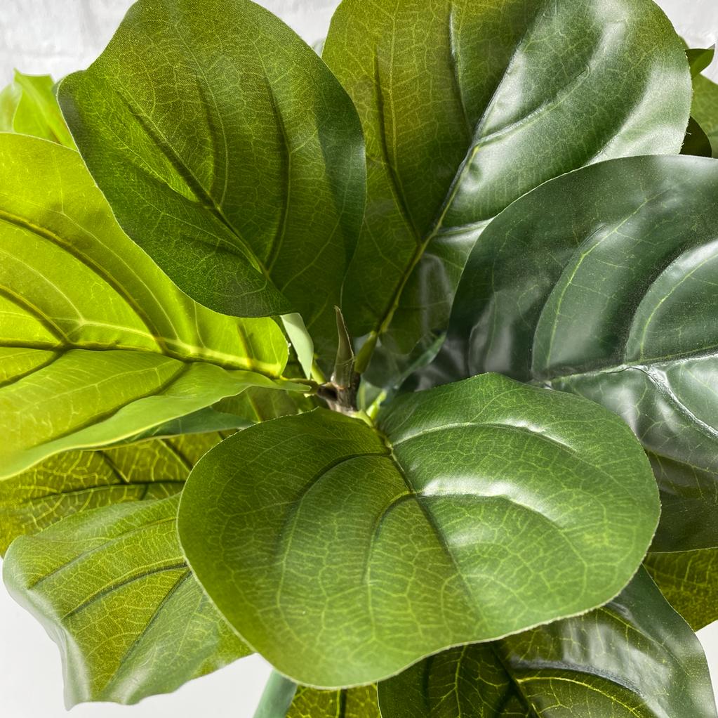 Artificial Fiddle Leaf | 50cm