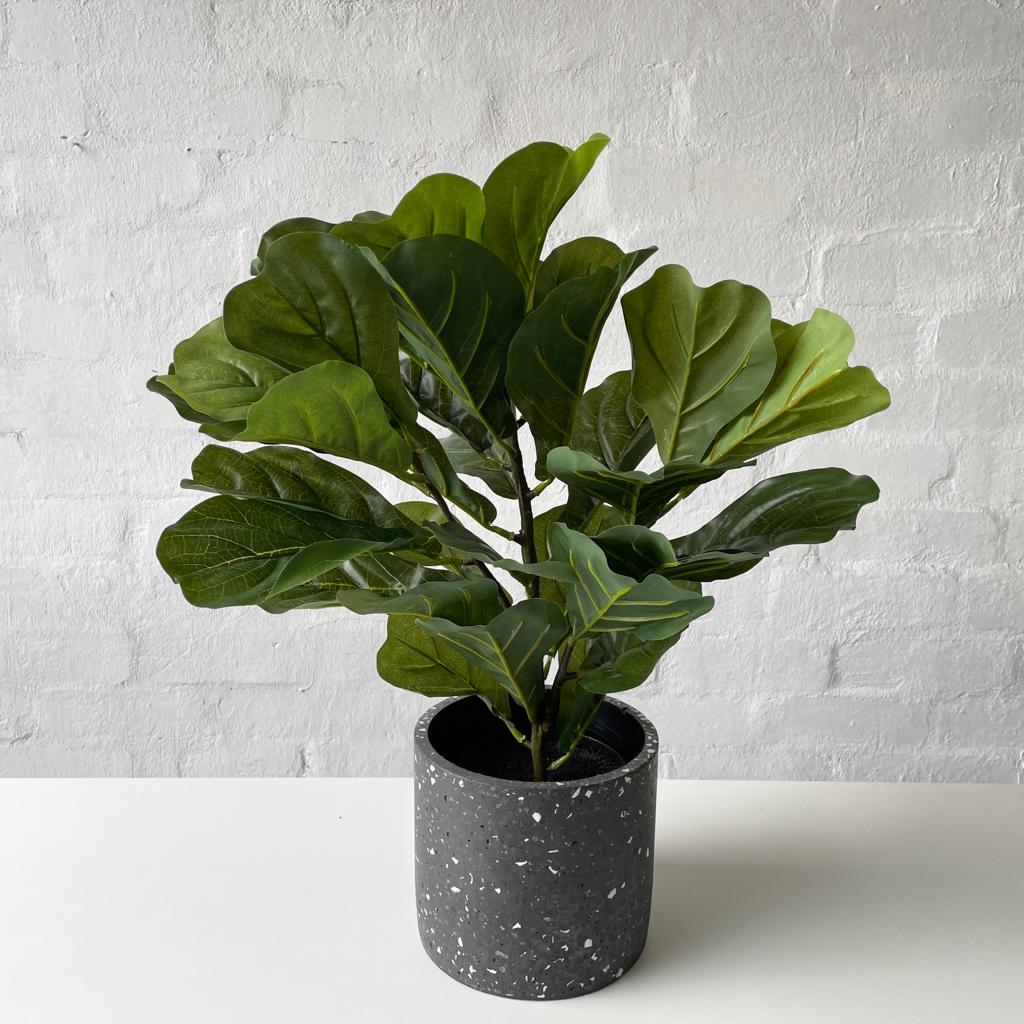 Artificial Fiddle Leaf | 50cm