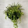 Artificial Greenery Design for Wall Planter