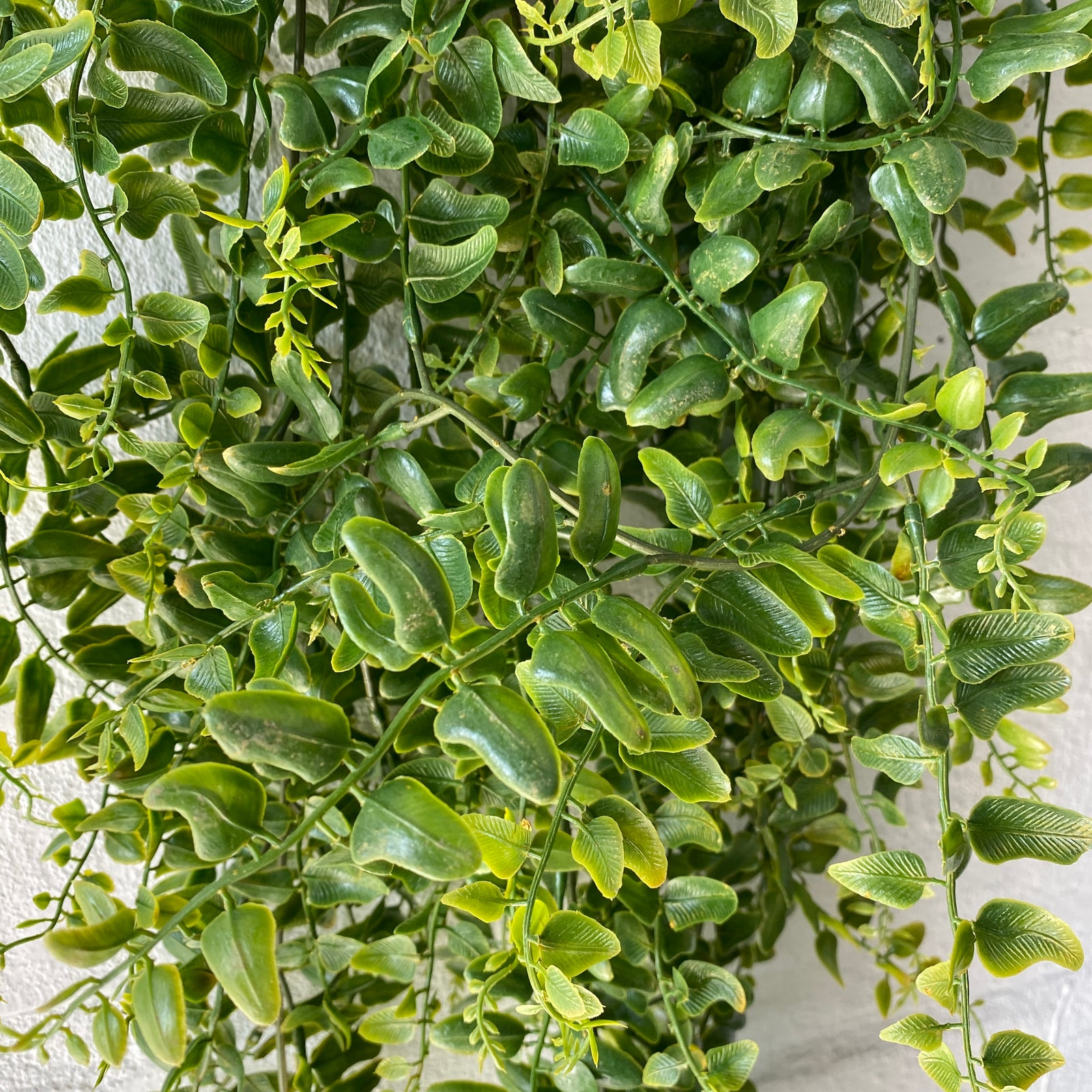 Artificial Hanging Baker Fern