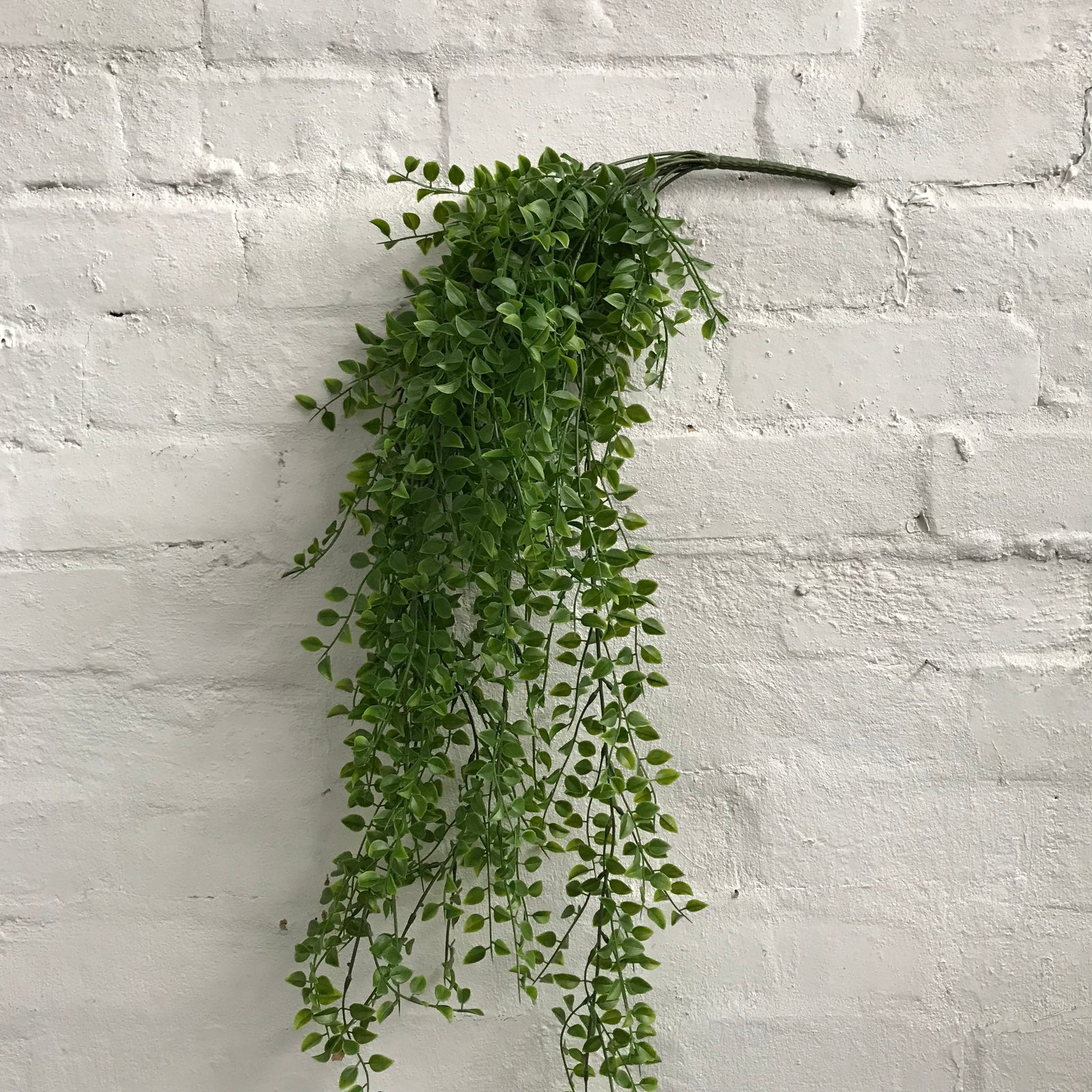 Artificial Hanging Ruscus Plant